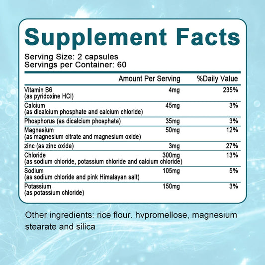 Electrolyte Capsules with Vitamin B6, Endurance Sports Nutrition