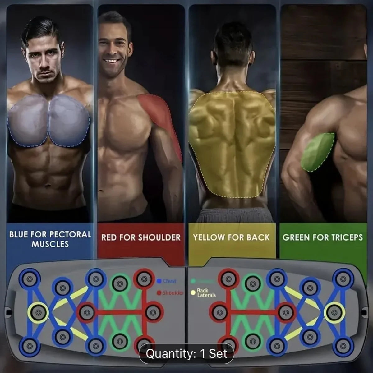 Push Up Board Home, Chest Muscle Exercise