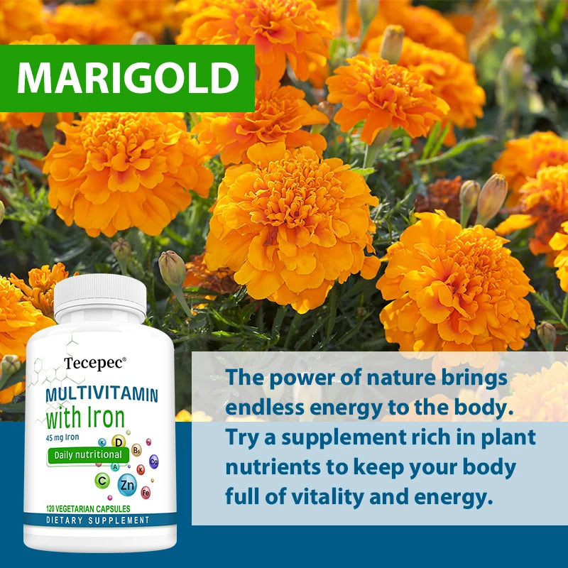 Multivitamin Supplements, with Zinc, Iron and Calcium