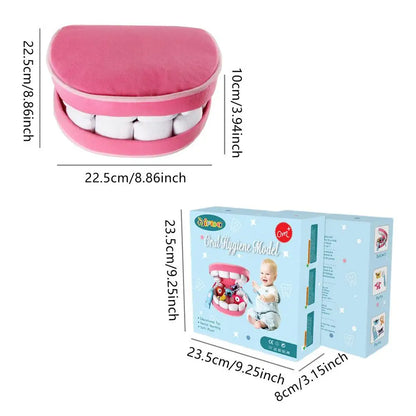 Dentist Toys for Preschool Educational Children Role Play Toys Teeth  Brushing Toys Cute Early Education Cartoon Tooth Brushin