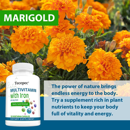 Multivitamin Supplements, with  Zinc, Iron and Calcium